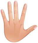 Hand Illustration